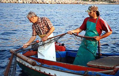 Il regno dei cieli è simile a una rete gettata in mare XVII Domenica del Tempo Ordinario (Anno A)