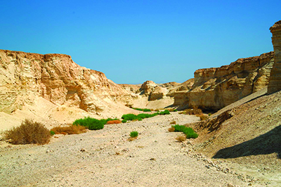 Gesù fu condotto dallo Spirito nel deserto