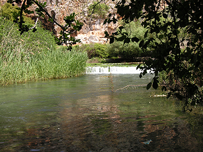 Si facevano battezzare nel fiume Giordano