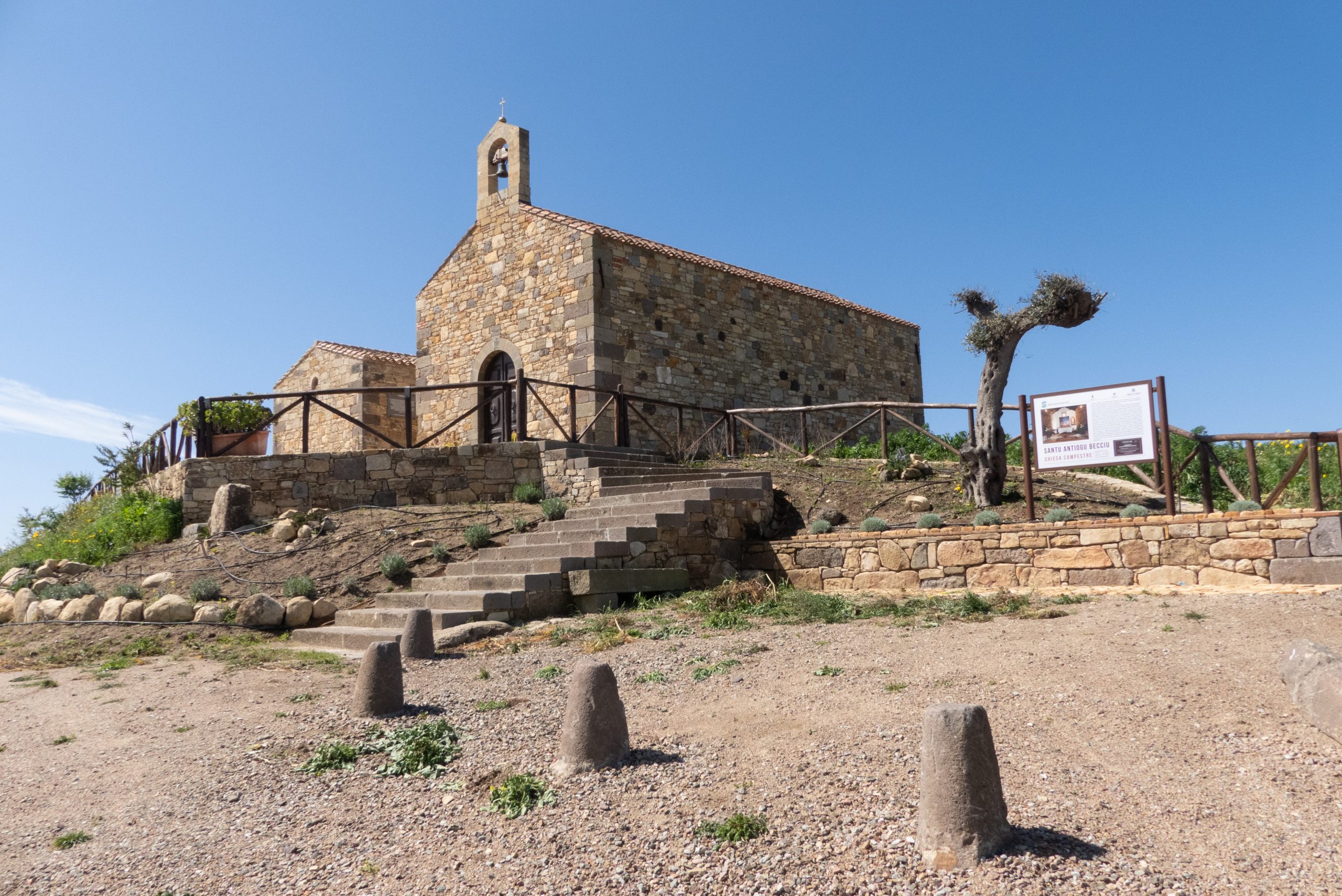 Sanluri. Preghiera, passeggiata e nuove piante per una tutela del creato ispirata dalle parole del Papa